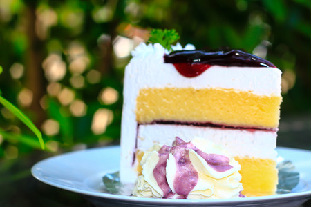 cheese cake with blue berry on top