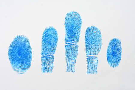 5 Blue fingerprint on white paperの写真素材