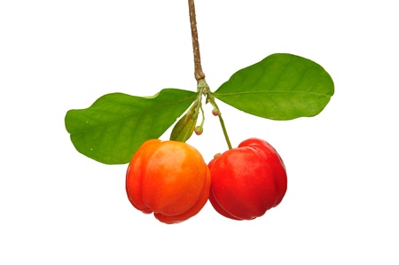 Sweet red cherries isolated on white 