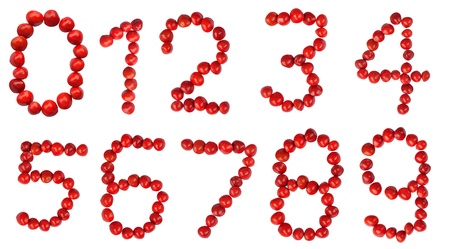 Number 0-9 from red seed 