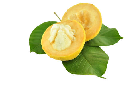 yellow santol fresh fruit and leaf isolateの写真素材