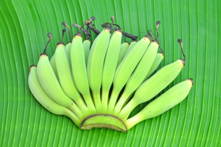 Young green banana on leafの写真素材