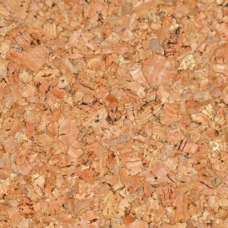 Close-up of Corkboard texture.