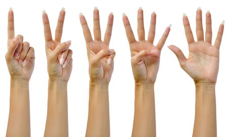 Counting woman hands (1 to 5) isolated on white background 