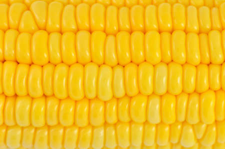 corn background, macro closeup