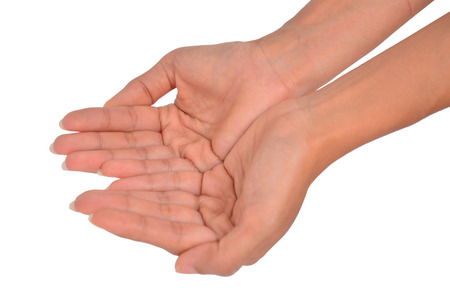 Open palm gesture  isolated on white background の写真素材