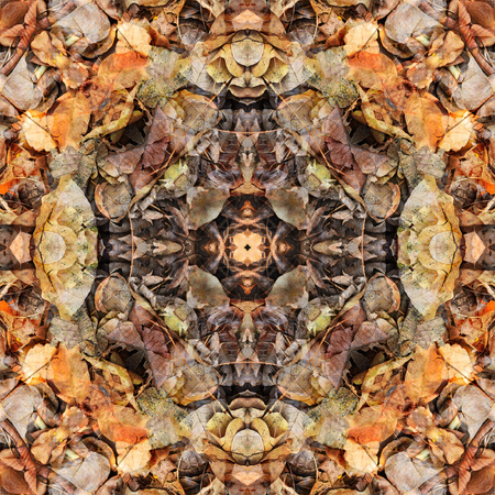 Beautiful seamless pattern made from Dry leavesの写真素材