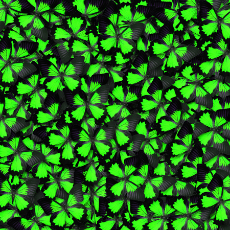 Green butterfly for background or textureの写真素材