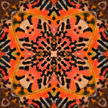 Closeup a beautiful orange butterfly wingの写真素材