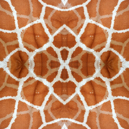 Genuine leather skin of Giraffe (Girafta camelopardalis)の写真素材