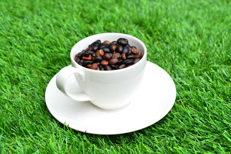 Cup of coffee on green grassの写真素材