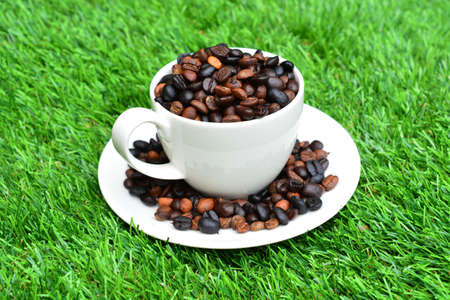 Cup of coffee on green grassの写真素材
