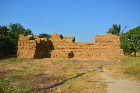 Brown Rice Straw for cow from Thailand