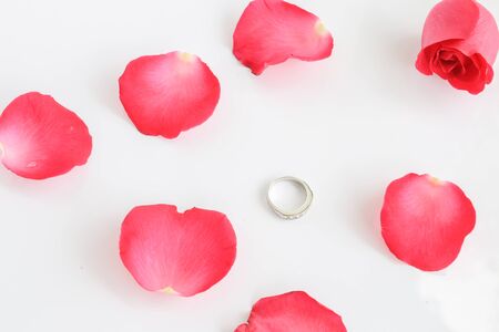 Red rose with ring on white background (valentine concept)の写真素材