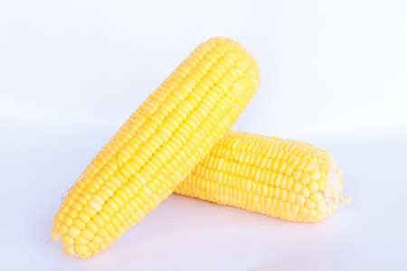 boil corn on white background