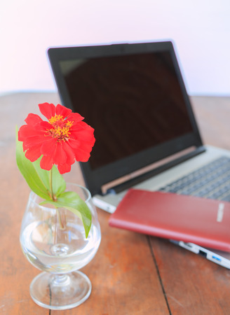 red flower in vase and book and laptop on deskの写真素材