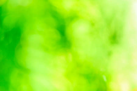 Natural Bokeh background blurの写真素材