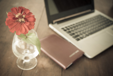 red flower in vase and book and laptop on deskの写真素材