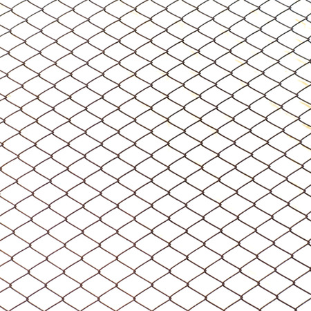 Fence from steel mesh on white background isolated.の写真素材