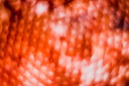 Abstract orange bokeh backgroundの写真素材