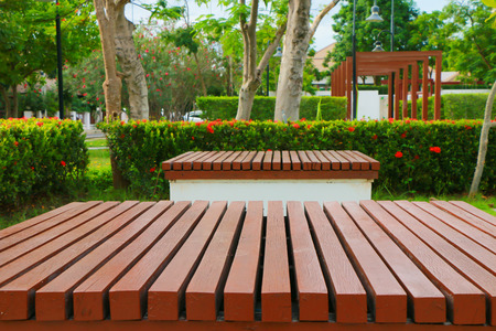 Close-up bench in peaceful park