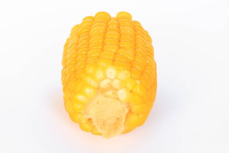 boil corn on white background