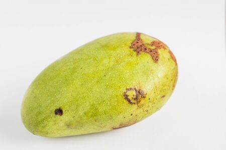 Mango on white background
