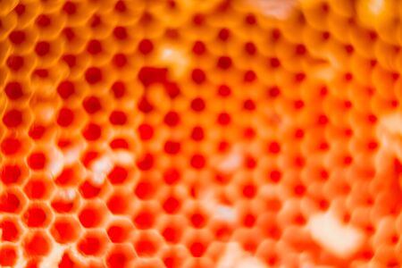 Abstract orange bokeh backgroundの写真素材