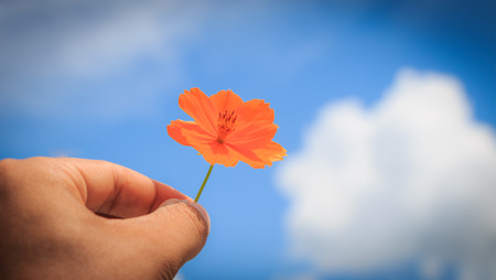 hand holding a flower in a cloudy skyの写真素材