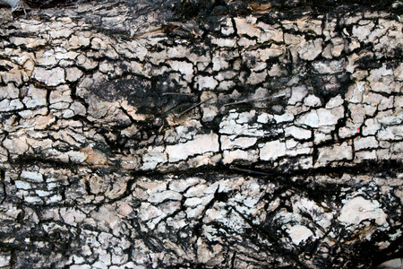 grunge wall background