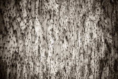 wood texture background