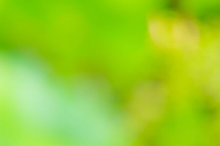 Nature background blurの写真素材