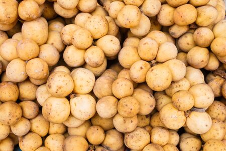 Lansium demesticum  on  background, Thailand fruit.の写真素材