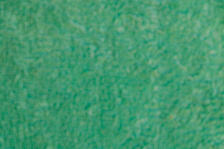 Background of green wall textureの写真素材