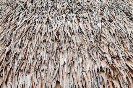 thatch roof textureの写真素材