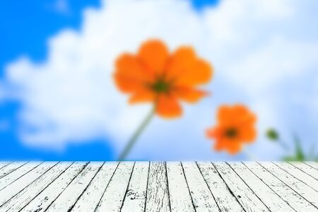 Blurred image of yellow flowers with white wooden table under for put your product.の写真素材