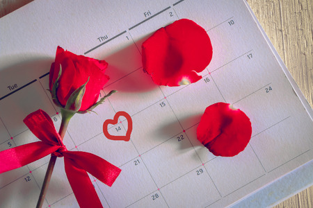red rose with bow put on calendar marking at number 14, Valentine day concept.の写真素材