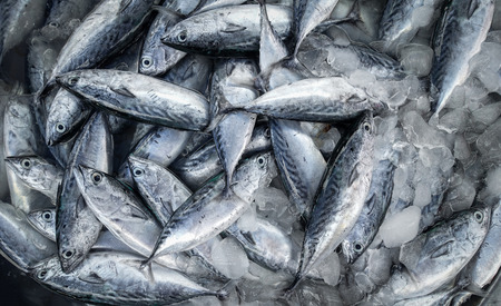 raw fish for sell at marketの写真素材