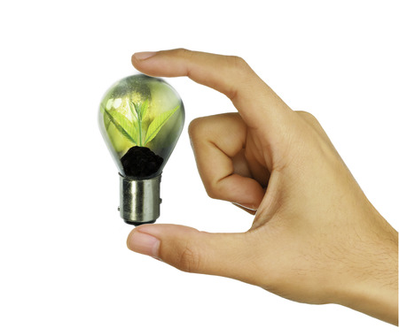 Fresh green small plant in light bulb with hand isolated on white backgroundの写真素材