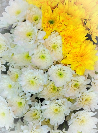 abstract top view of flowers backgroundの写真素材