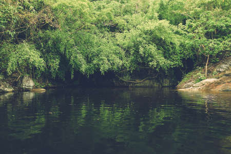Path through the forest in foggy weather with riverの写真素材