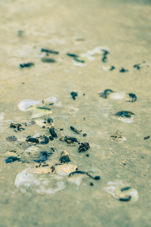 Bird droppings on cement wall backgroundの写真素材