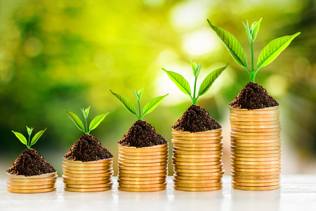 Gold coins and plant with green bokeh light in saving money conceptの写真素材