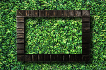Old vintage picture frame with space use for texts or products display with fresh green small plant backgroundの写真素材
