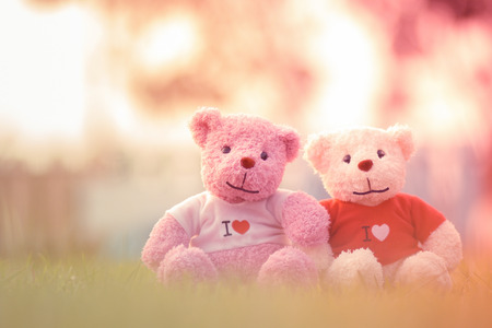 teddy bear with sunset silhouette.Valentine's Dayの写真素材