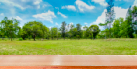 Wooden tabletop with green park nature blurred background use for products or montage displayの写真素材