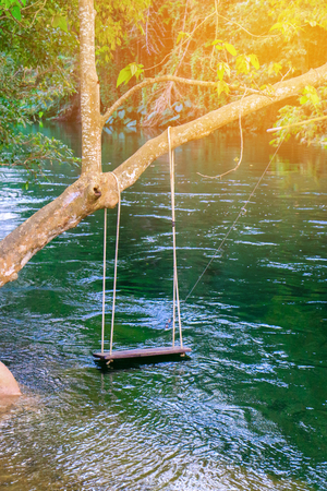 wooden swing at the peaceful river in forestの写真素材