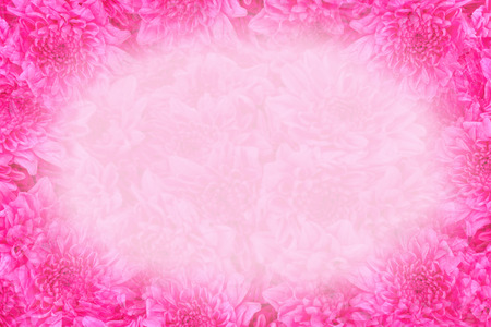 Close up pink rose flowers background with space use for texts or something display on valentine day.の写真素材