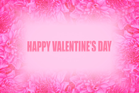 Close up pink rose flowers background with space use for texts or something display on valentine day.の写真素材