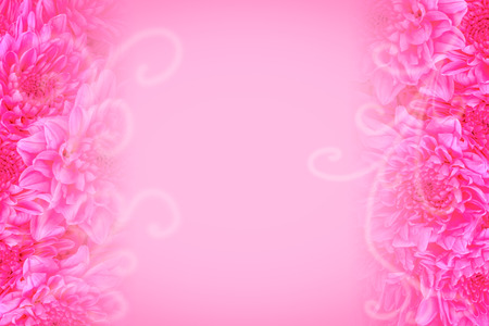 Close up pink rose flowers background with space use for texts or something display on valentine day.の写真素材